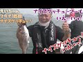 【タイラバ】タイ釣りチーム対抗戦！ 前半【海遊】【海神shanks】