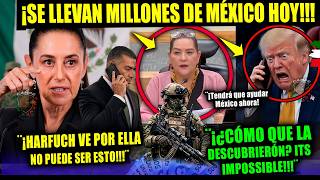 SHEINBAUM ¡Se llevan MILLONES de México! INE TADDEI TRUMP orden hoy Harfuch Campechaneando NOTICIA