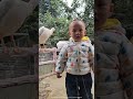 this bird caught this child shortvideo