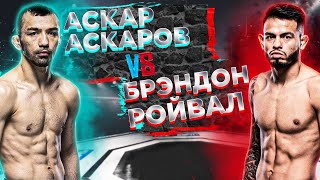 АСКАРОВ ОПЯТЬ ФАВОРИТ? UFC: Аскар Аскаров VS Брэндон Ройвал прогноз | аналитика мма