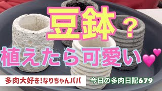 【多肉植物】【ガーデニング】豆鉢💕可愛い💕　　多肉大好き！なりちゃんパパ　多肉奮闘記その679