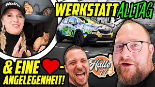 BALD geht es WIEDER LOS! - Werkstattalltag Halle77 + Eine HERZENSANGELEGENHEIT von NADINE!