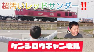 こんな汚いレッドサンダー見たの初めて🤭ケンシロウ君大興奮‼️サービスホーンゲット👋優しい運転士さん