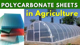 Poly Carbonate Sheets in Agriculture : खर्चा कम, फायदा ज़्यादा !