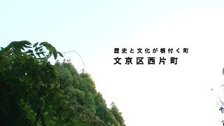 歴史と文化が根付く町 文京区西片町