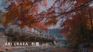 4K GH5 『AKIURARA(秋麗)』in 高尾山(Takaosan)