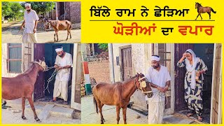 ਬਿੱਲੇ ਰਾਮ ਨੇ ਛੇੜਿਆ ਘੋੜਿਆਂ ਦੀ ਵਪਾਰ  | Desi Masti Team | New Punjabi Movie 2023