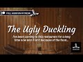 Getting courage to ask you out on a date... | The Ugly Duckling | Strangers To Lovers Roleplay Audio