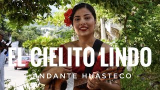 El Trío Andante Huasteco  toca "El Cielito Lindo" desde Tepetzintla Ver.