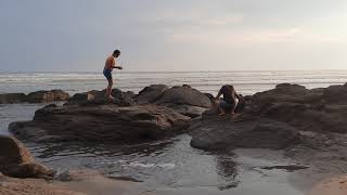 en la playa de el majague sebe mucho árbol de coco