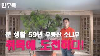 17. 무등산 소나무 분재 취목에 도전하다! I part.1