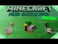 DUCK MOD (Minecraft Mod Showcase) BIRDS! GOOSE!