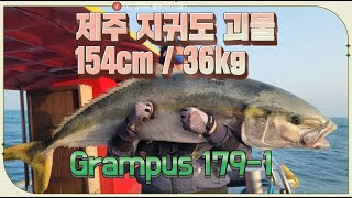 179-1 또터진 #제주도 #괴물부시리 풀영상 [154cm 36kg 대부시리를 올리다] Grampus 179-1 #지깅 #파핑 #캐스팅 #빅게임