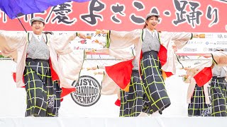 [4K] 和歌山MOVE　弁慶まつり 紀州弁慶よさこい踊り 2024 (中央)