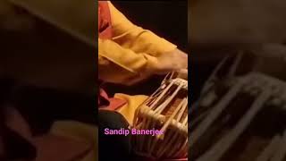 Sandip Banerjee on tabla. rela on Ektal.. 12 beats.