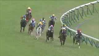 2022.05.08 Metropolitan Stakes (JPN) - Weiss Meteor.mp4