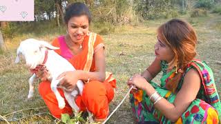 दोनो छहतरी औरत बोका के सामान के बारे मे क्या क्या बतिया रही है सुन लीजिये Bhojpuri Comedy Video 2021