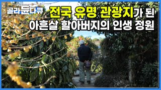 반평생 가꾸고도 입장료 없이 모두에게 개방한 할아버지의 아름다운 인생 정원│그저 꽃이 좋아서, 인생이 늘 찬란한 봄이었다│거제 바다 공곶이 수선화│한국기행│#골라듄다큐