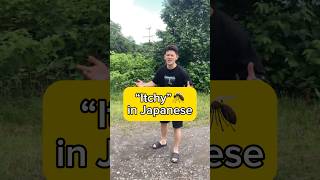 “Itchy” in Japanese  #japan #japanese #kaiwa #speakjapanese #nihon #nihongo #日本 #日本語 #anime #learn