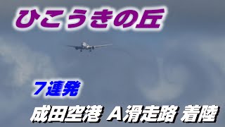 【4K】成田空港 ひこうきの丘 Ａランに着陸７連発※雲から出て来た所から撮ってみました（ベイパー＆ぐるぐる有り）