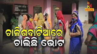 Panchayat By Election Underway In Pipili | NandighoshaTV