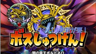 星ドラ　闇の雷王ボルトネロ　魔王周回