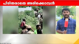 തമിഴ്നാട് കമ്പത്തെ വനപാലക സംഘത്തെ വട്ടംകറക്കി അരിക്കൊമ്പന്റെ യാത്ര