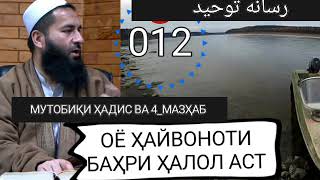 Оё Ҷонвари Оби Ҳалол аст | رسانه توحيد HD 2020