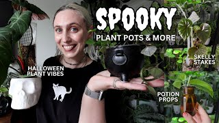 all of my spooky plant accessories 💀🌙