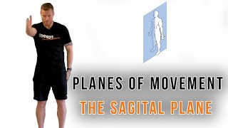 Planes of Movement | Sagital Plane