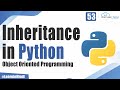 What is Inheritance in Python |  Object Oriented Programming in Python