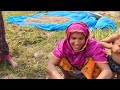 মানিকগঞ্জের দুর্গম যমুনার চরে বাদাম চাষ bangladesh village farmers documentary nirapodvlog