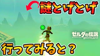 アッカレ北の謎とげとげにマップ外から行ってみると？【ブレワイ BotW】裏技 バグ 検証 ゆっくり実況 glitch