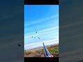 close shot geese hunting amazing shot #youtubeshorts #birdhunting #duckhunting