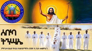 ሰበካ ትንሣኤ || ከሰማዕት ዘኢትዮጵያ ቁጥር 1 መዝሙር || በሰንበት ት/ቤት መዘምራን - በም/ፀ/ቅዱስ ተክለ ሃይማኖት ቤተ ክርስቲያን ሰንበት ት/ቤት