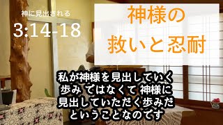 【神に見出される】ペテロの手紙 第二 3章 ③ 14-18節【聖書】