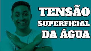 Tensão Superficial da Água. #Shorts