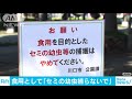 「食用としてセミの幼虫の捕獲やめて」　公園に看板 18 08 21