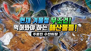 현재 겨울철 무조건! 먹어봐야 하는 해산물들! (주문진 수산시장) 【 시장탐방 】