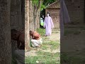 FUNNY KING SCARY GHOST PRANK FOR LAUGHING Part 120! Fun Box Brand #Fake ghost #NUN Prank