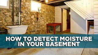 How to Test for Moisture in Your Basement — and Waterproof It