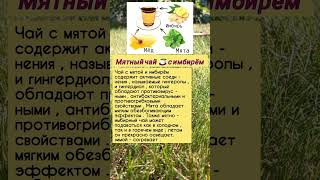 Мятный чай, польза #советы#рецепты#безлекарств#народнаямедицина#шортс#полезныерастения#shorts