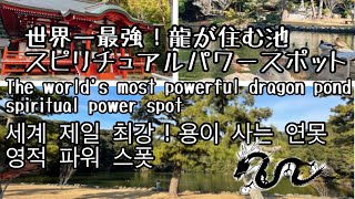 【静岡】世界一最強！龍神神社🐉 세계 제일 최강! 류진신사 🐉 The strongest in the world! Ryujin Shrine🐉#龍神神社#龍神#桜ヶ池#池宮神社