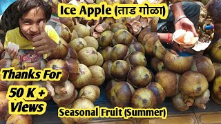 Tadgola (ताडगोळा) Ice Apple Seasonal Fruit   उन्हाळ्यातील एक छान फळ.