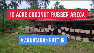 10 Acre Coconut Rubber Areca Agri Farm For Sale | Puttur | Karnataka