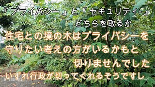 神奈川県・厚木市・愛川町・鳶尾山　庭にいるのを見られたくない人も、防犯上は周りから見えてた方が、悩みますねえ