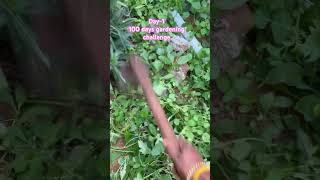 Day-1 cleaning #shorts #trending #foryou #shortvideo #farming #nature #nellai #tirunelveli #vlog