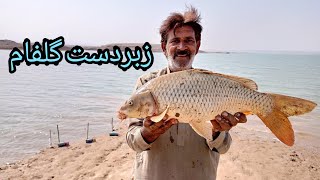 Lamdor specialist ustad bela | Common Carp Fishing | Mangla Dam Fishing | Muhammad Saad