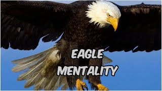 The eagle mentality-Best motivational video/Swami's wonderland
