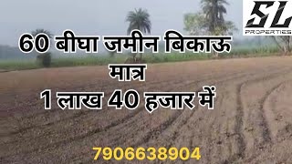 60 बीघा जमीन बिकाऊ है। सभी फसल करने योग्य भूमि।#SUNDARLALPROPERTY